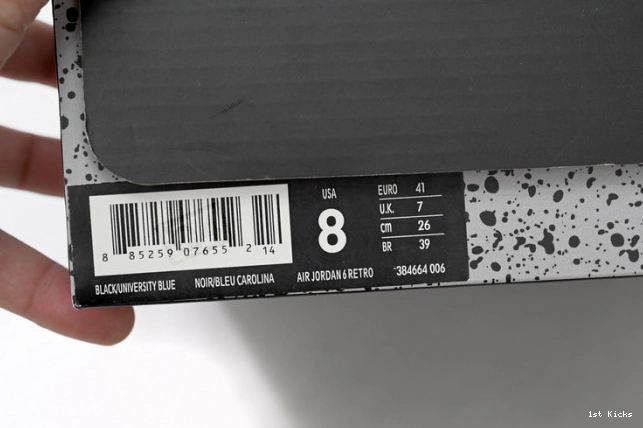 384664-006 UNC 6 Retro Jordan Air 0815